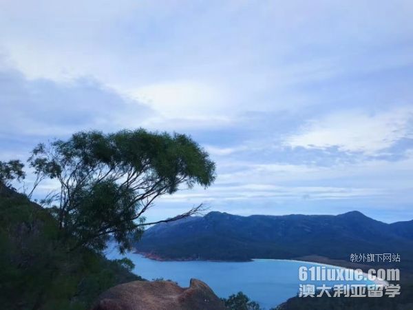 �Ĵ������о�����ѧרҵ