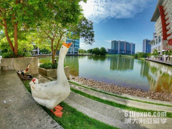 泰莱大学申请时间