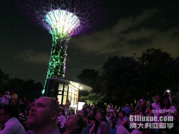 南洋理工大学精算硕士