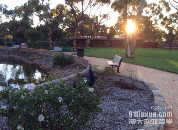 ī������ѧ���˶ʿ����