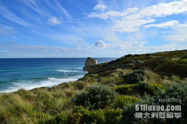 ȥ������ѧһ�����