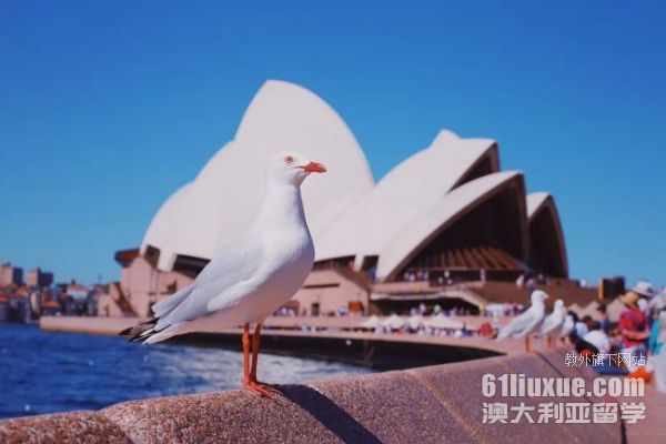 高中去澳洲留学条件