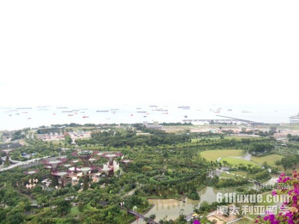 新加坡本科申请留学