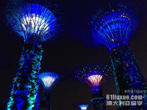 大学去新加坡留学一年费用