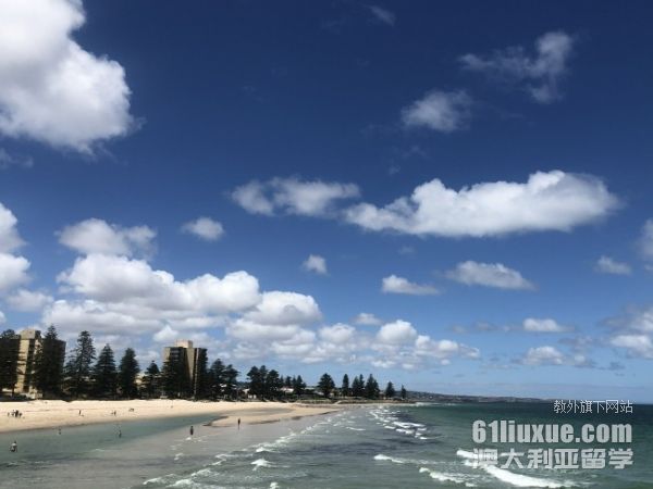 �Ĵ����ǽ���רҵ�о�����ѧѧ��