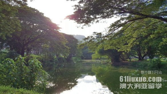 �����������ƴ�ѧҽѧ����