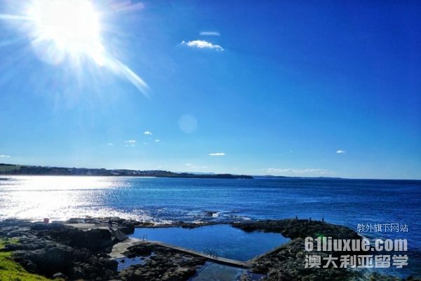 澳洲本科留学直申