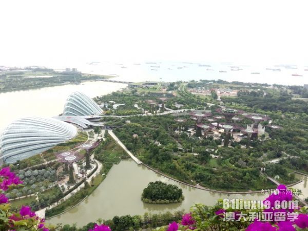 新加坡私立大学一年留学费用