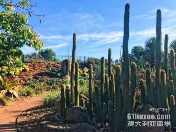 �Ĵ����Ǹ�����ѧ����ʱ��