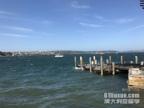 �Ĵ�����˶ʿ����רҵ��������