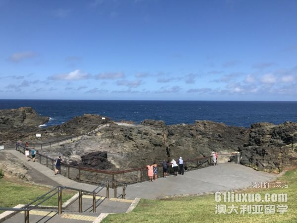 �Ĵ�������ѧ����Ҫ��