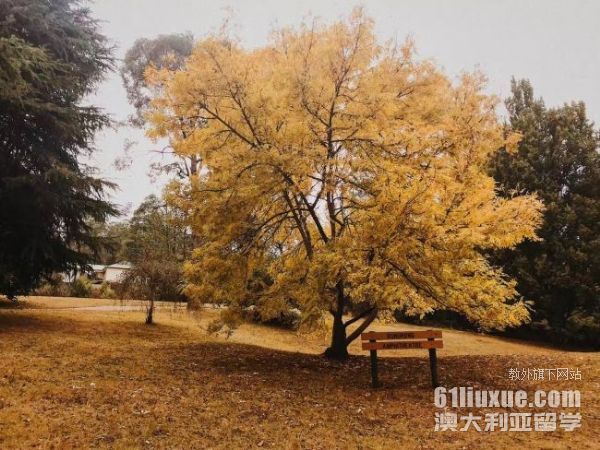 �����о�������Ҫ��