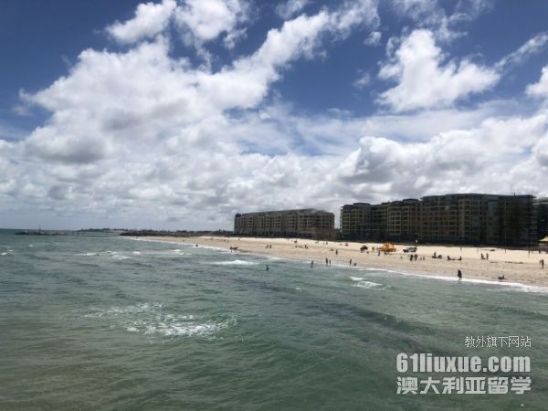 �Ĵ�������ѧһ������Ƕ���