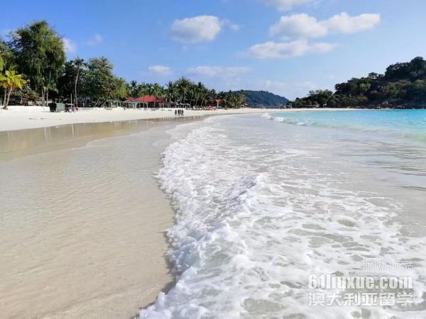 �������ǹ��̹���ѧ