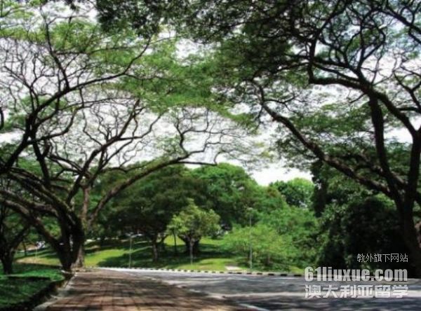 �����������ƴ�ѧ��ѧ����