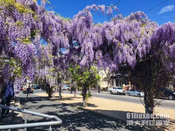 �Ĵ����Ƕ���Ҫ����