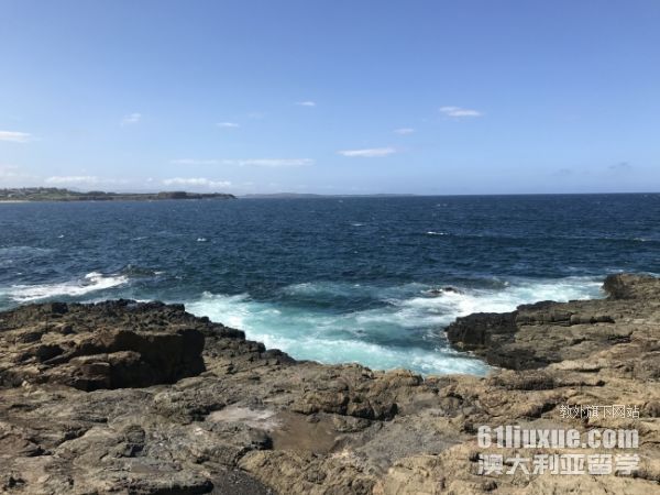 �Ĵ�������Ӱרҵ�о�����ѧ