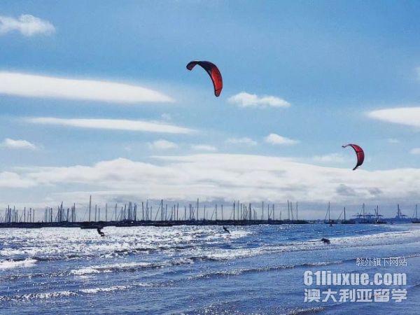 ��������רҵ