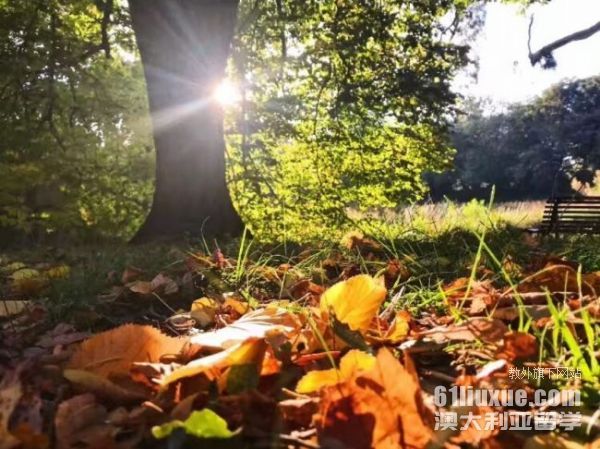 �Ĵ����Ǉ�����ѧ