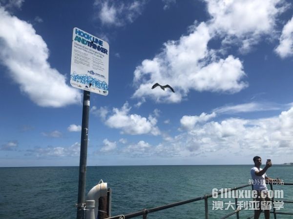 �Ĵ������о�����ѧ����