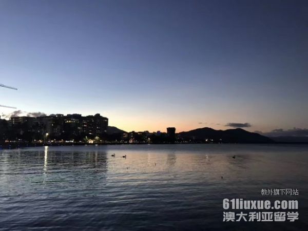 �Ĵ����Ǳ�����ҽ