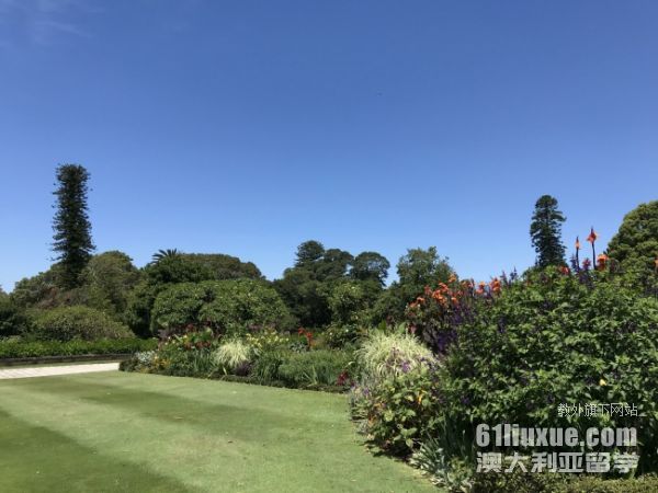 ������ѧԤ��