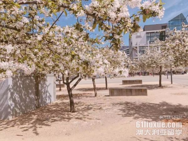 �Ĵ������̿�רҵ��ѧ����