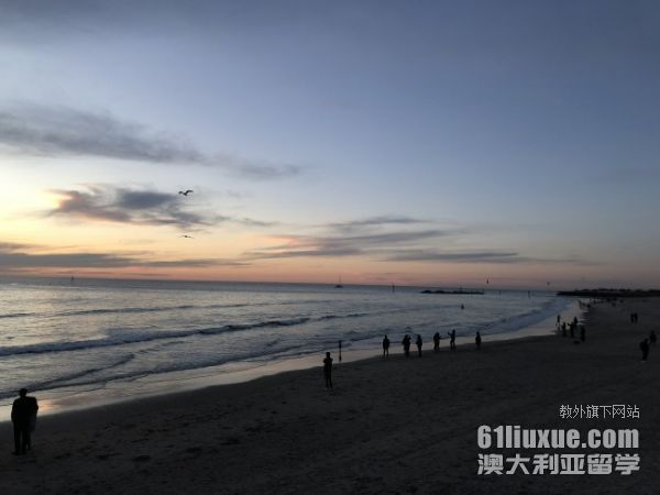 �Ĵ������о�����ѧ��Ҫ������