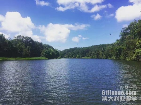 �Ĵ����ǹ�����ѧ����