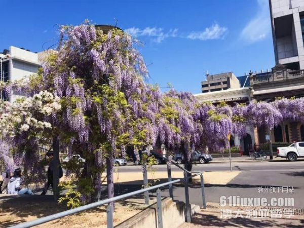 墨尔本大学的申请条件
