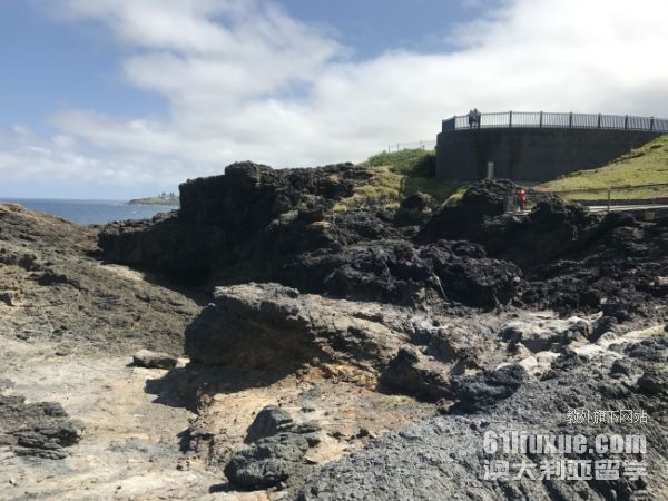 ��������ʿ��ѧ���з���