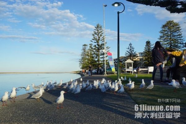 悉尼大学学费生活费多少