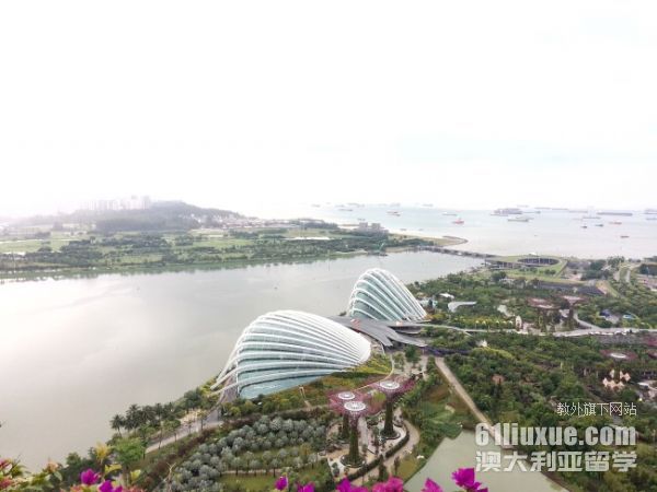 新加坡科廷大学设计专业