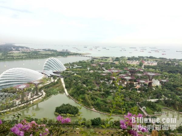 新加坡留学要求高吗