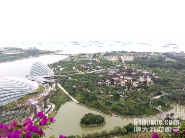 马来西亚大学计算机专业就业