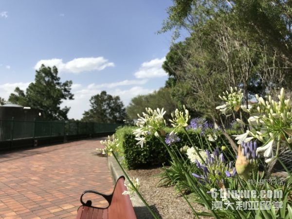 �Ĵ������о�����ѧʱ��