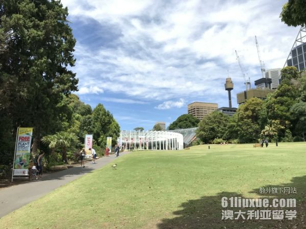 �Ĵ������о�����ѧ��