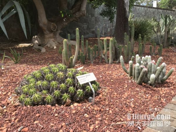 悉尼大学工商管理专业