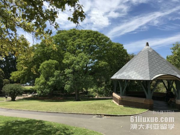 �Ĵ�������ЩѧУ��