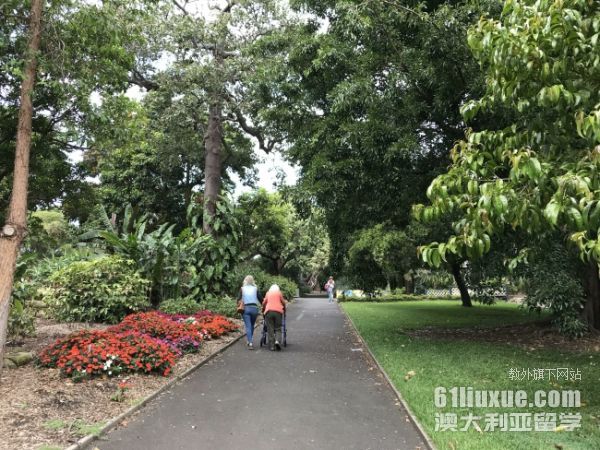 �Ĵ���������Щ��ѧ�б���רҵ