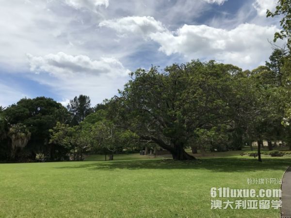 澳大利亚留学的时间