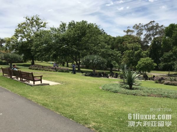 ��ȥ�Ĵ�������ѧ��