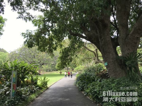 去澳大利亚留学的学制