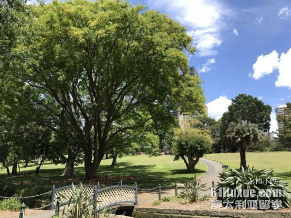 澳大利亚大学留学费用