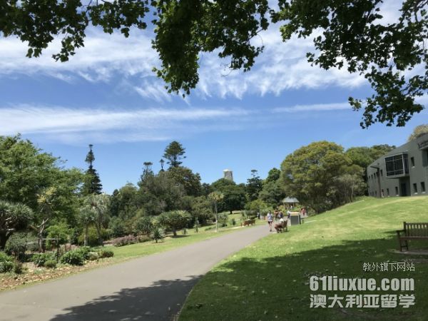 �Ĵ�������ѧ����һ���Ŷ���