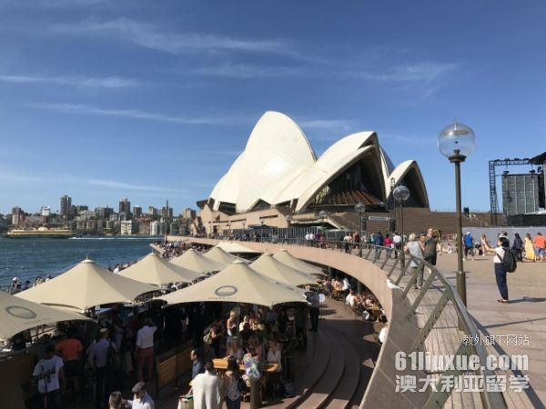 �Ĵ�������ѧ��Ҫʲô����