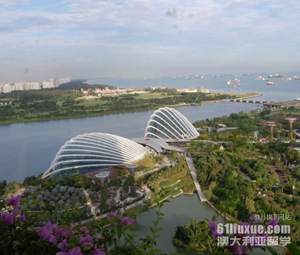 新加坡南洋理工本科要求