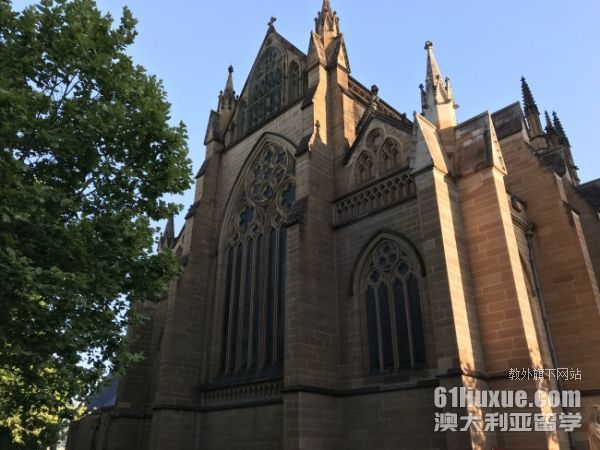 �Ĵ������о�����ѧ����