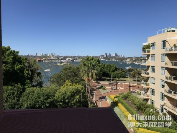 留学澳大利亚本科就业