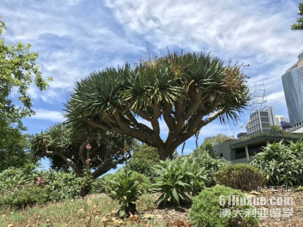 �Ĵ�������������ʿ��ѧ